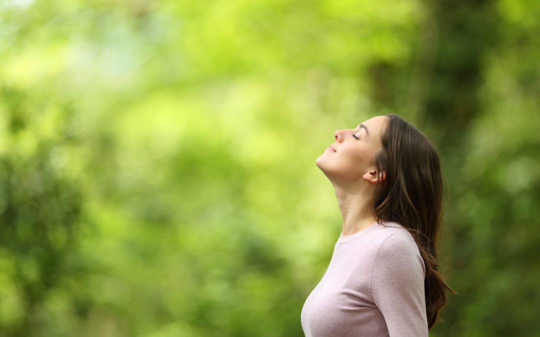 How Does Comfort Food Affect Your Stress Levels: Unraveling the Connection
